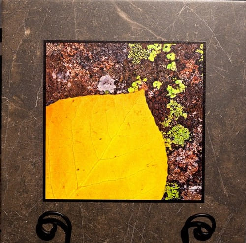 Click to view detail for Aspen Leaf & Lichen Stone Plaque  12x12 $90